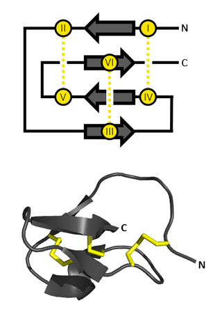 <span class="mw-page-title-main">Inhibitor cystine knot</span>