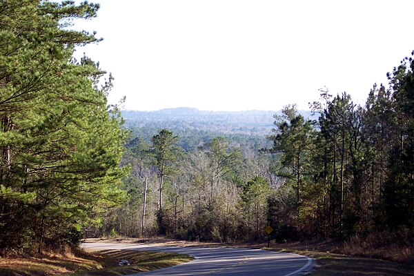 The hilly terrain of Walton County differs from most of the rest of Florida.