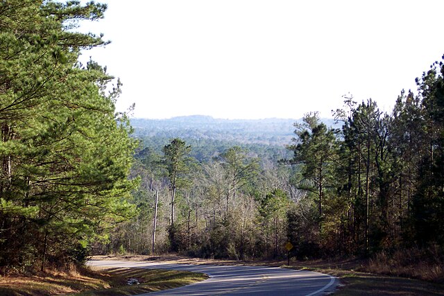 The hilly terrain of Walton County differs from most of the rest of Florida.