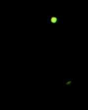 December 21, 2020, Jupiter and Saturn, 130mm Bresser Messier