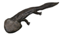 Koolasuchus, compared with skeleton head is too large (estimated head length is 65 cm but scaling shows around 1 m).