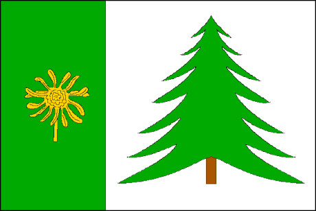 File:Kubova Hut CZ flag.gif