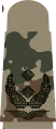 Aufschiebeschlaufen mit schwarzen Emblemen auf 3-Farben-Flecktarn für Luftwaffenuniformträger (hier: Oberstleutnant)