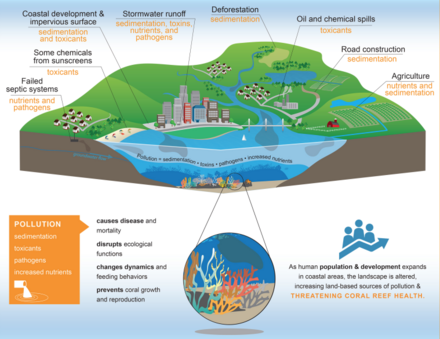 Land-based sources of pollution threats to coral reefs - NOAA Land-based sources of pollution threats to coral reefs.png