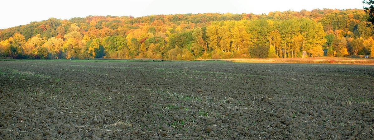 Widok od strony Wielkiej Kępy Ostromeckiej