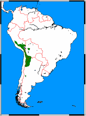 Description de l'image Leopardus jacobita range map.png.