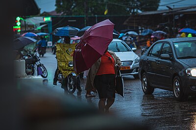 Jeune dame se frayant un chemin, parapluie à la main, sous la pluie matinale