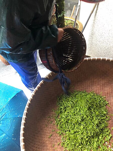 Fail:Longjing tea 17.jpg