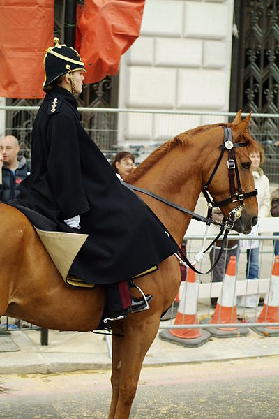 File:Lord Mayor's Show, London 2006 (295472961).jpg