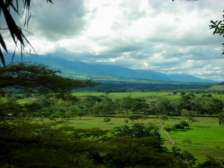 Los Llanos (South America) Grassland