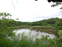 Luanshan Lake Wetland02.jpg