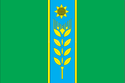 District de Ljubašivka - Drapeau