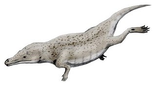 <i>Maiacetus</i> Genus of mammals