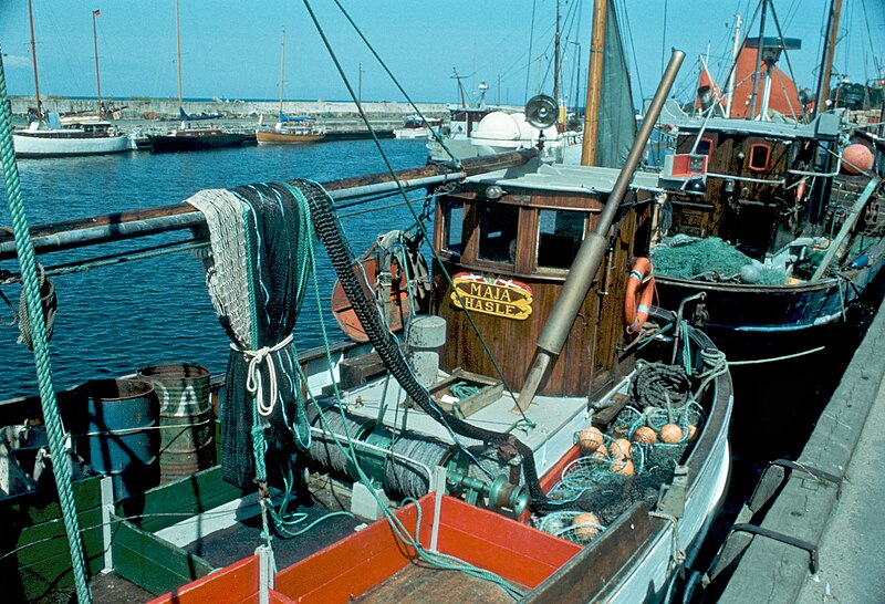 File:Maja 1973.jpg