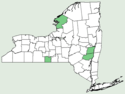 Malva parviflora NY-dist-map.png