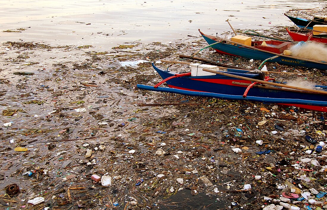 Pollution of the Pasig River