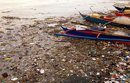 Tập_tin:Manila_Bay_Pasig_and_Pampanga_River_Basins_pollution_2008.jpg