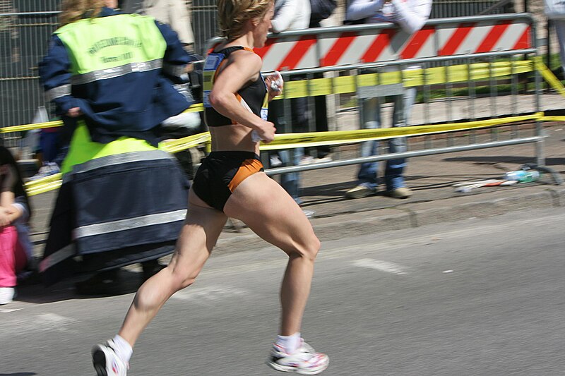 File:Maratonaroma2006 falcatafinale.jpg