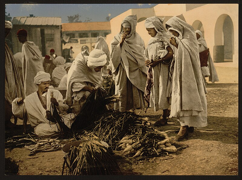 File:Market, Biskra, Algeria-LCCN2001697854.jpg