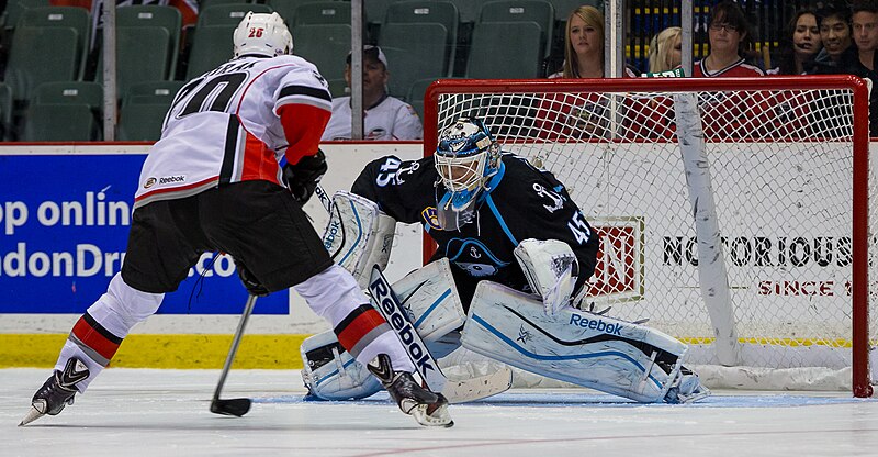 File:Milwaukee Admirals at Abbotsford Heat - October 12, 2013 - Magnus Hellberg and Roman Horak (50510616716).jpg