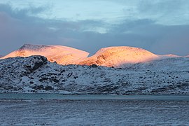 Morgenlys Storskrumten.jpg orqali