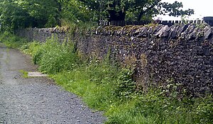 Morishill Boundary wall.jpg