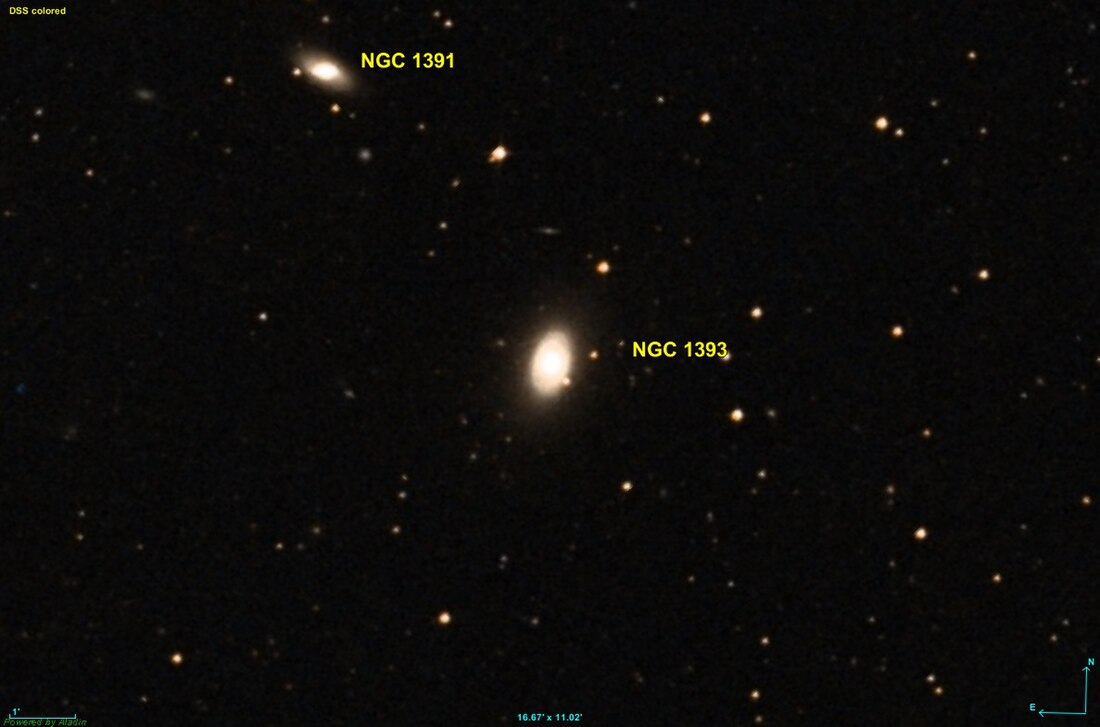 NGC 1393