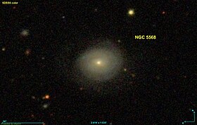 Image illustrative de l’article NGC 5568