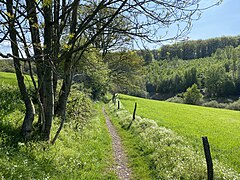 Weg von Niedersondern in das NSG