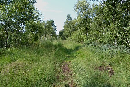 NSG Torfkanal Weg