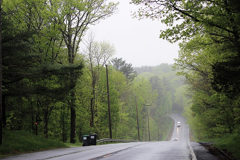 File:NY Route 22, Austerlitz, New York.jpg