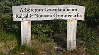 Arboretum Groenlandicum Narsarsuaq-arboretum-groenlandicum.jpg