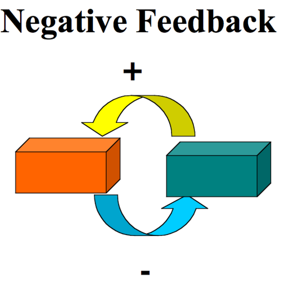 File:NegativeFeedback.png