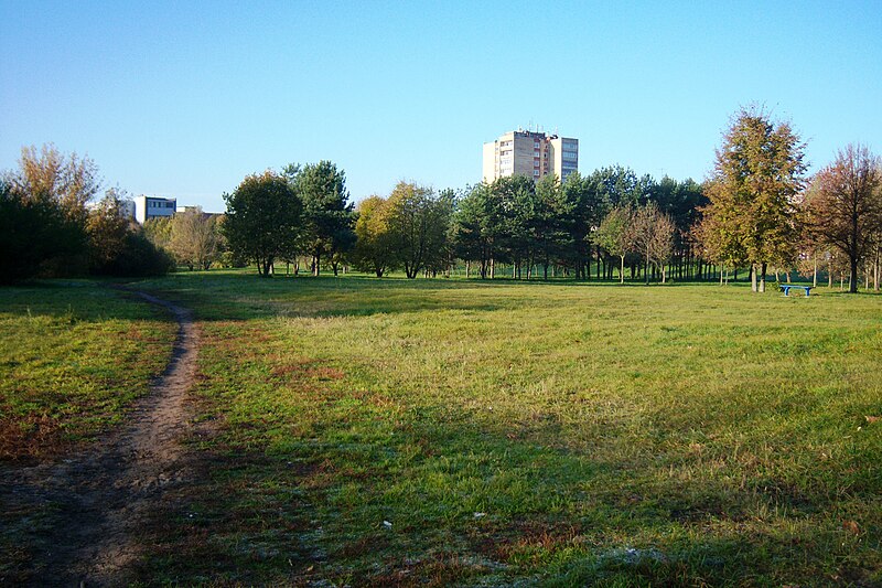 File:Neries krantinės parkas. Priekyje - Vilijampolės namai.JPG