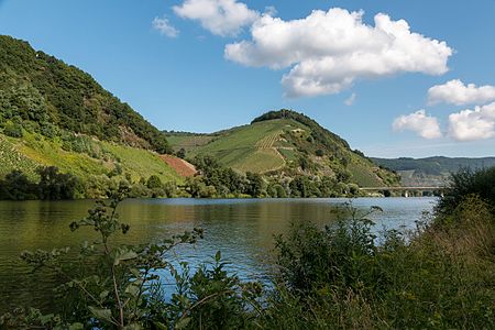 Mosel (and bridge), Neumagen-Dhron, Rhineland-Palatinate, Germany