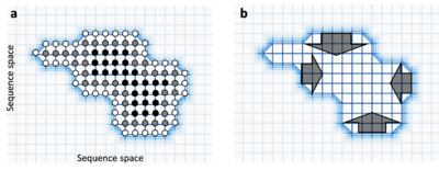 Each circle represents a functional gene variant and lines represents point mutations between them. Light grid-regions have low fitness, dark regions have high fitness. (a) White circles have few neutral neighbours, black circles have many. Light grid-regions contain no circles because those sequences have low fitness. (b) Within a neutral network, the population is predicted to evolve towards the centre and away from 'fitness cliffs' (dark arrows). Neutral network.png