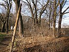 Friesenstrasse à l'ouest de Hermann-Hesse-Strasse.  Le tracé de la route à travers la Schönholzer Heide n'est pas construit sur