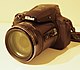 Nikon COOLPIX P900-4 (24403817010).jpg