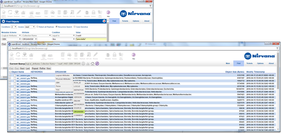 Nirvana Web Tarayıcısı Grafik Kullanıcı Arayüzü