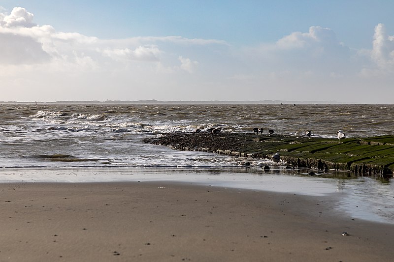 File:Norderney, Weststrand -- 2018 -- 1049.jpg