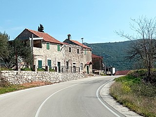 <span class="mw-page-title-main">Nova Sela, Kula Norinska</span> Village in Dubrovnik–Neretva, Croatia