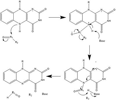 Mechanism 5. Use of nucleophilic addition to break R1-R2 bond Nucleophilic Substitution using FAD.jpg