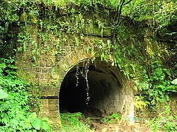 Old-TRA-Sandiaoling-Tunnel(Shuangxi).jpg