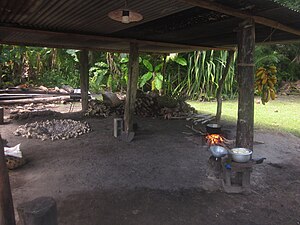 Four Polynésien: Répartition géographique, Dénomination, Description