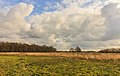 Panorama van de open vlakte. Locatie, natuurgebied Delleboersterheide – Catspoele.