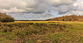 Panorama van de open vlakte. Locatie, natuurgebied Delleboersterheide – Catspoele.