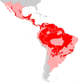 Distribución de Panthera onca. En rosa les zones onde s'escastó, en colloráu les zones onde perdura.[2]