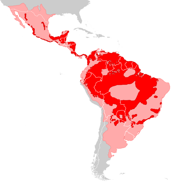 File:Panthera onca distribution.svg