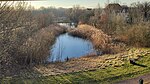 Panzerteich westlich des Gimritzer Damms in Halle (Saale)