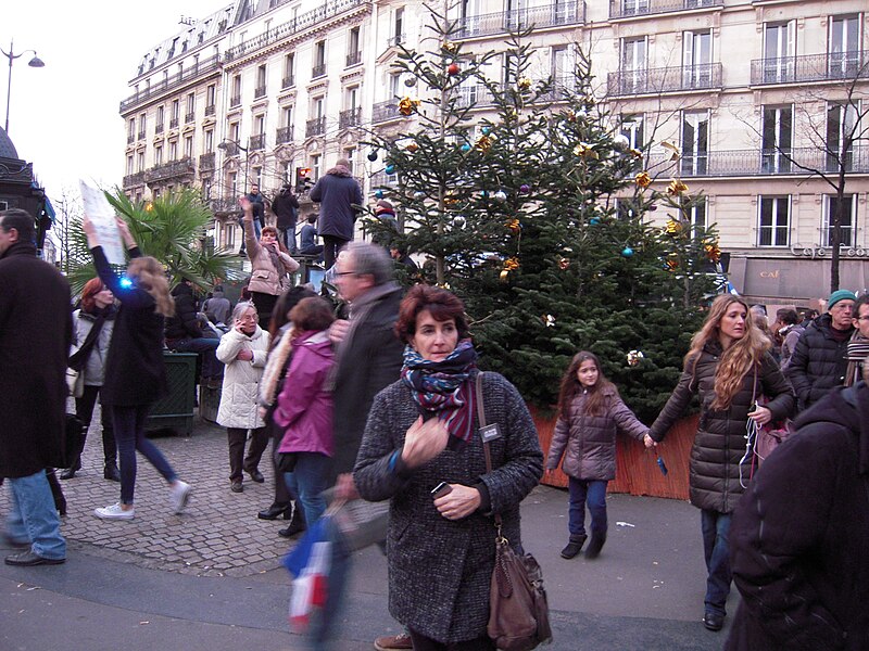 File:Paris rally, 11 January 2015 (8).jpg